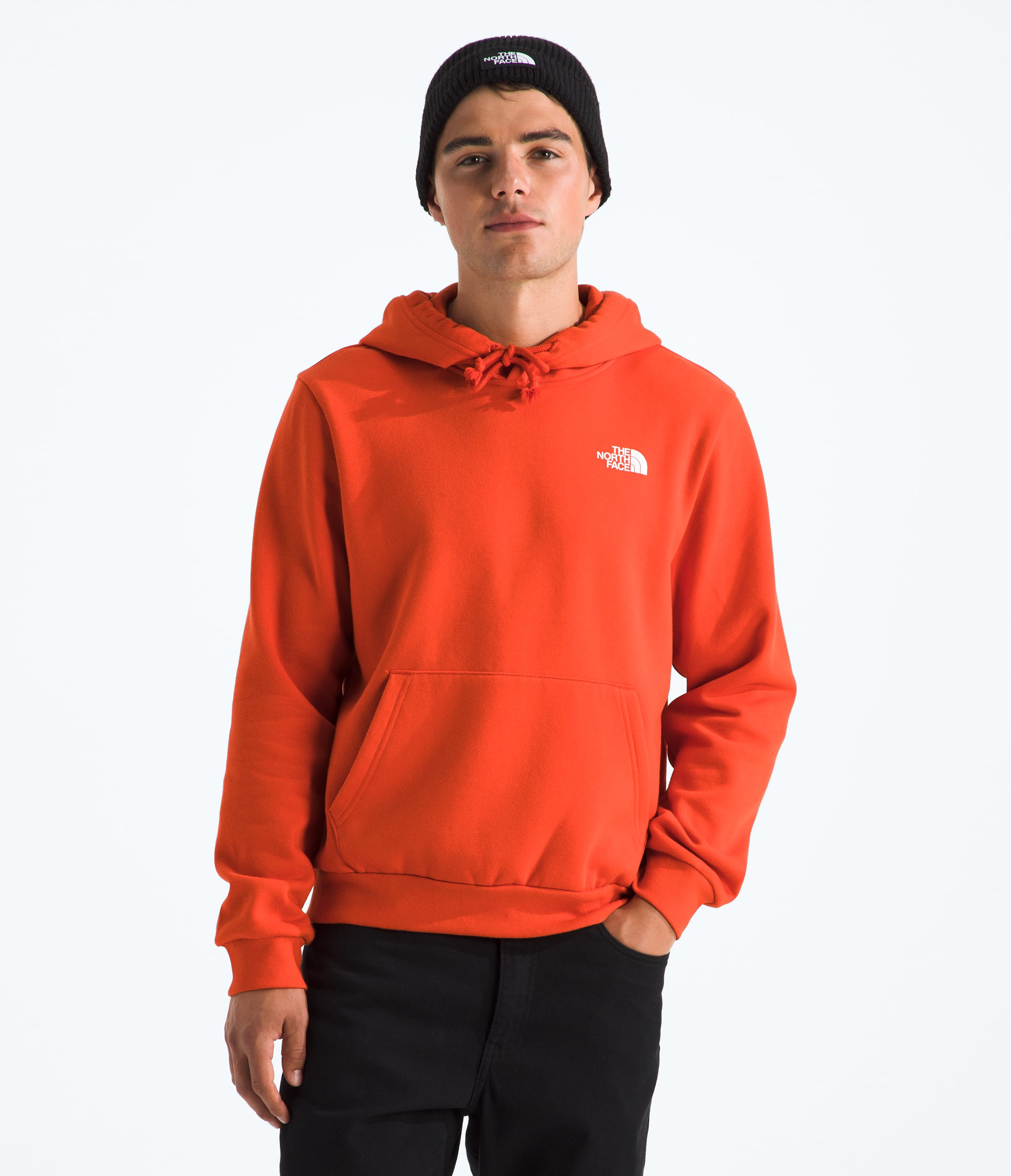 Mens Evolution Box NSE Regular Hoodie TNF BACK