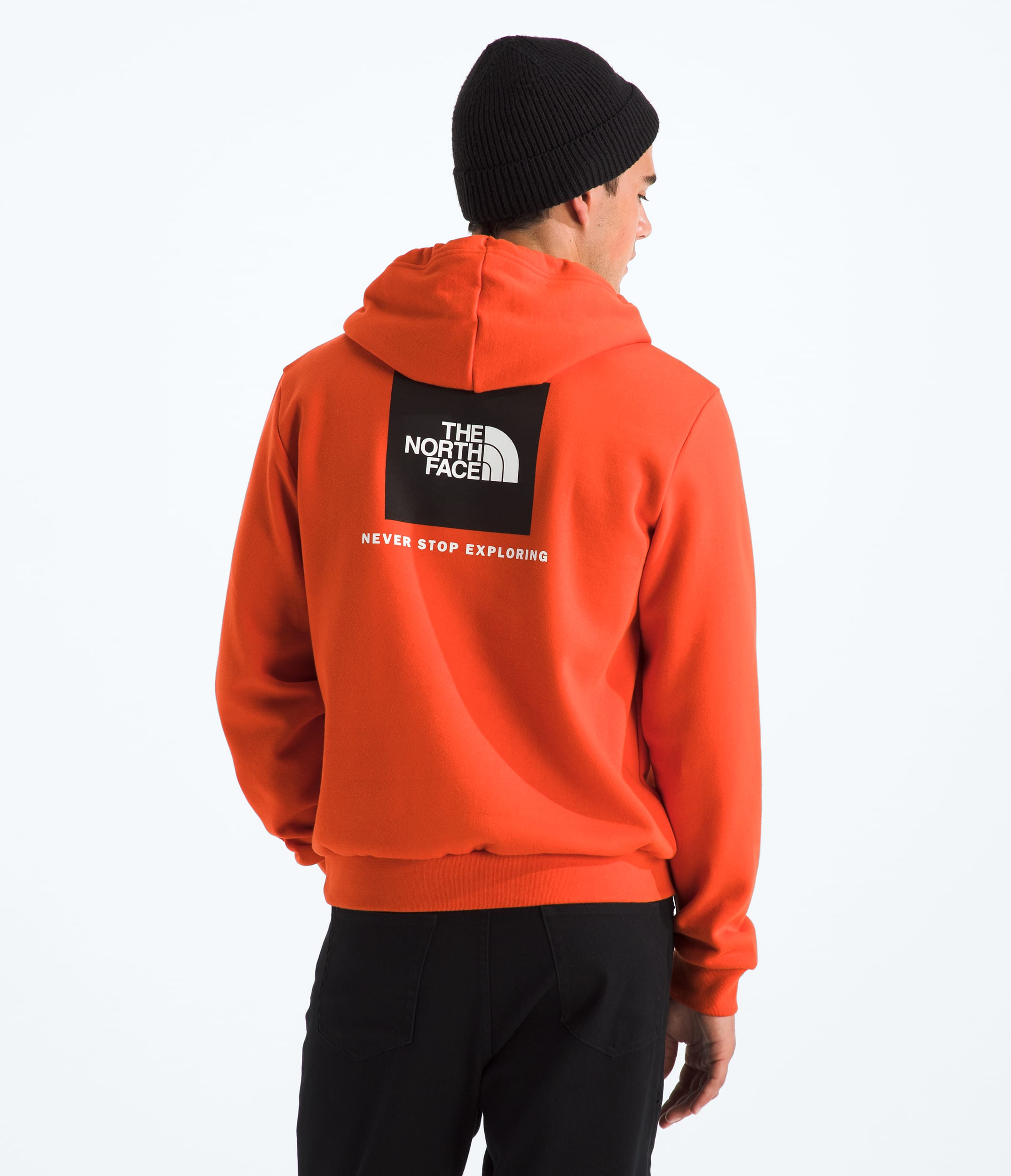 Mens Evolution Box NSE Regular Hoodie TNF Main