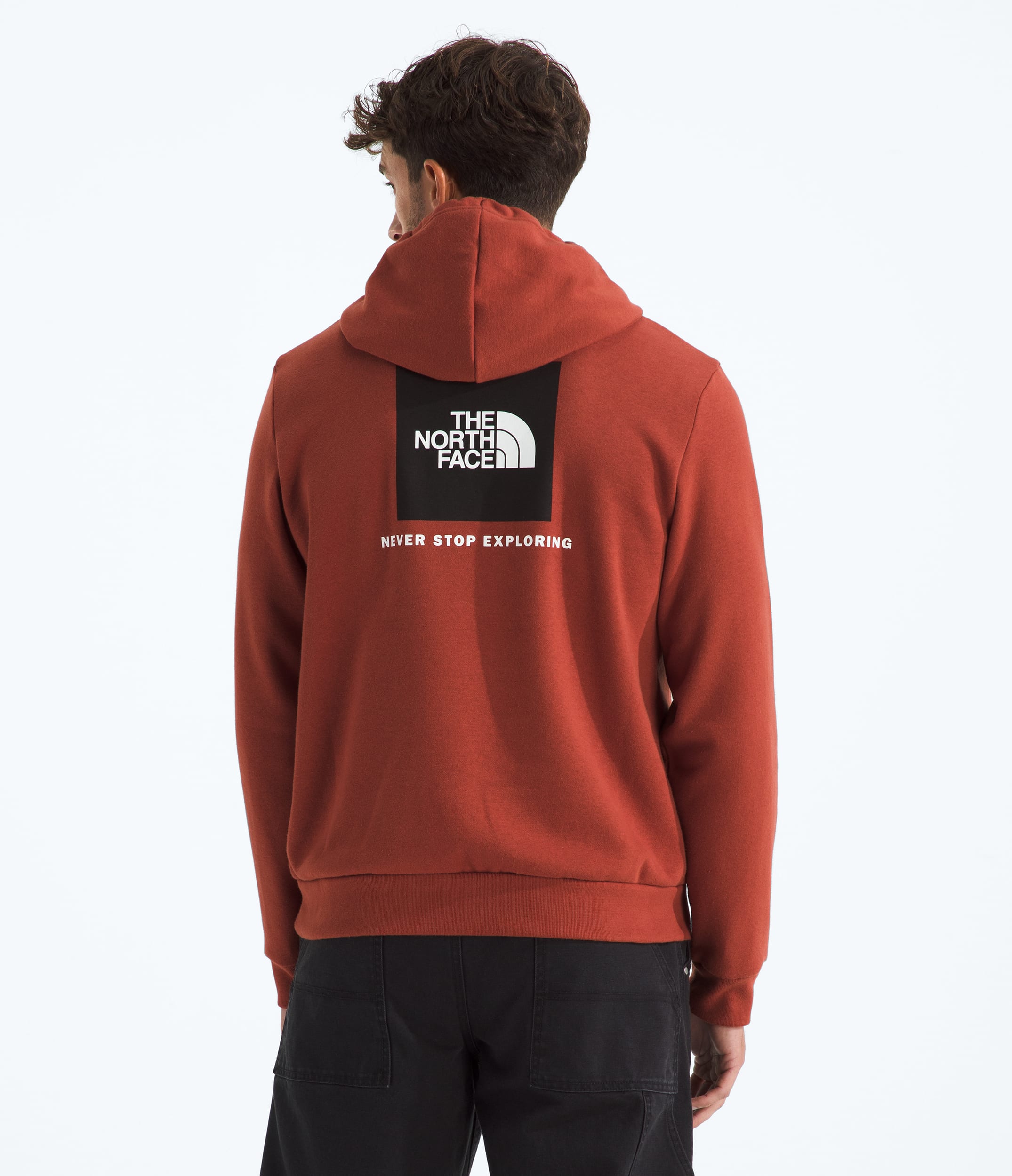 Mens Evolution Box NSE Regular Hoodie TNF Main