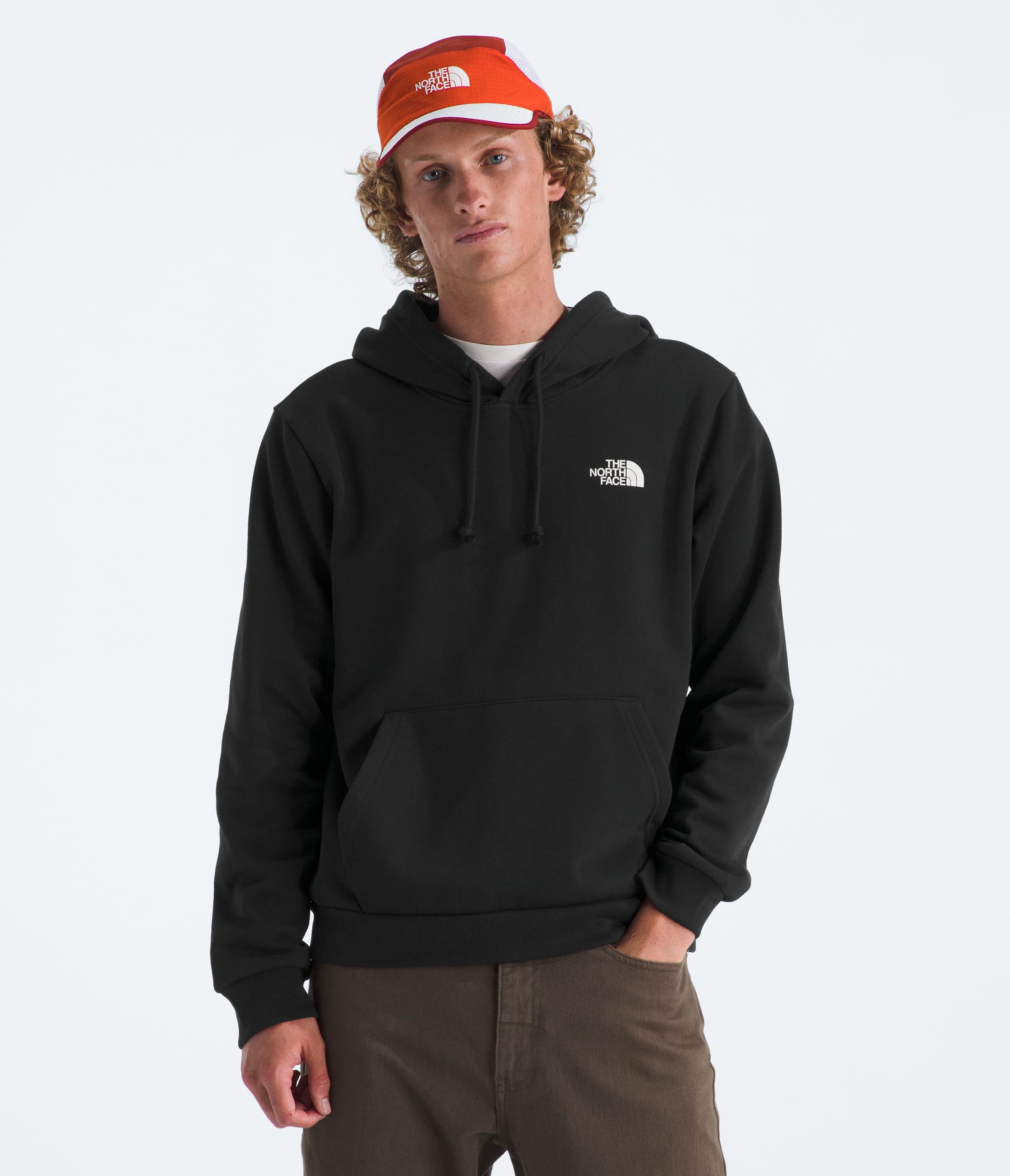 Mens Mountain Scape Regular Hoodie TNF BACK