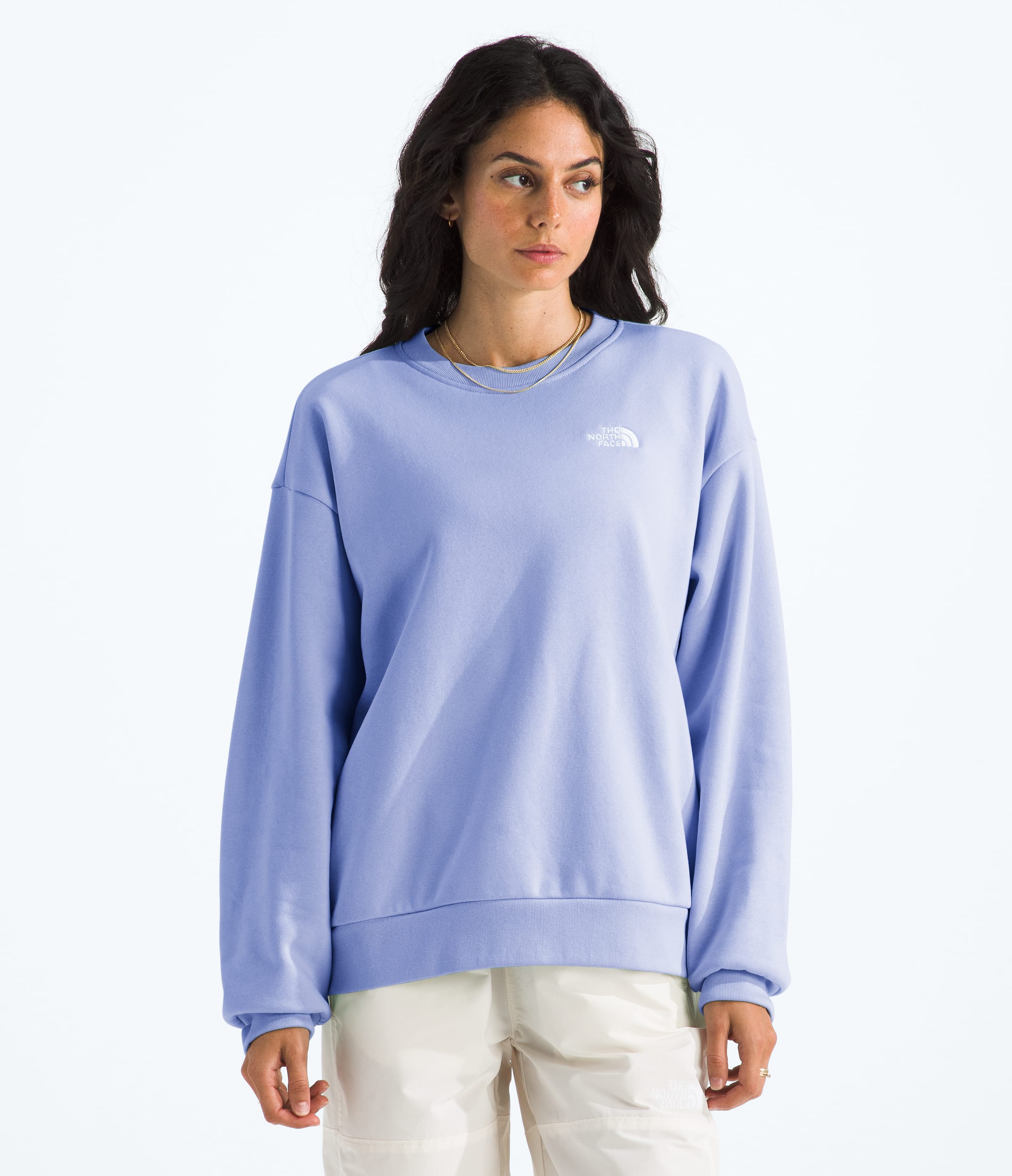 Womens Evolution Simple Dome Oversized Crew TNF Main