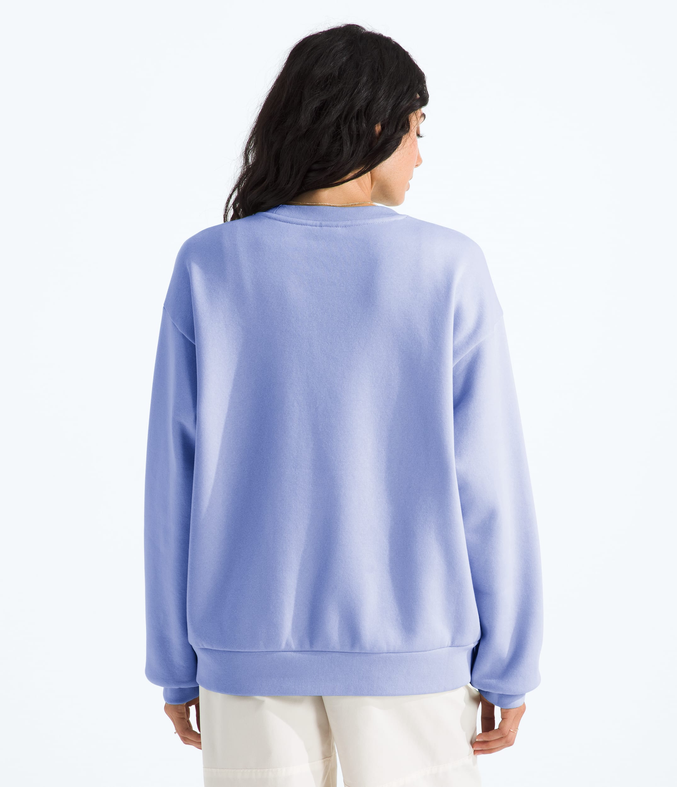 Womens Evolution Simple Dome Oversized Crew TNF BACK