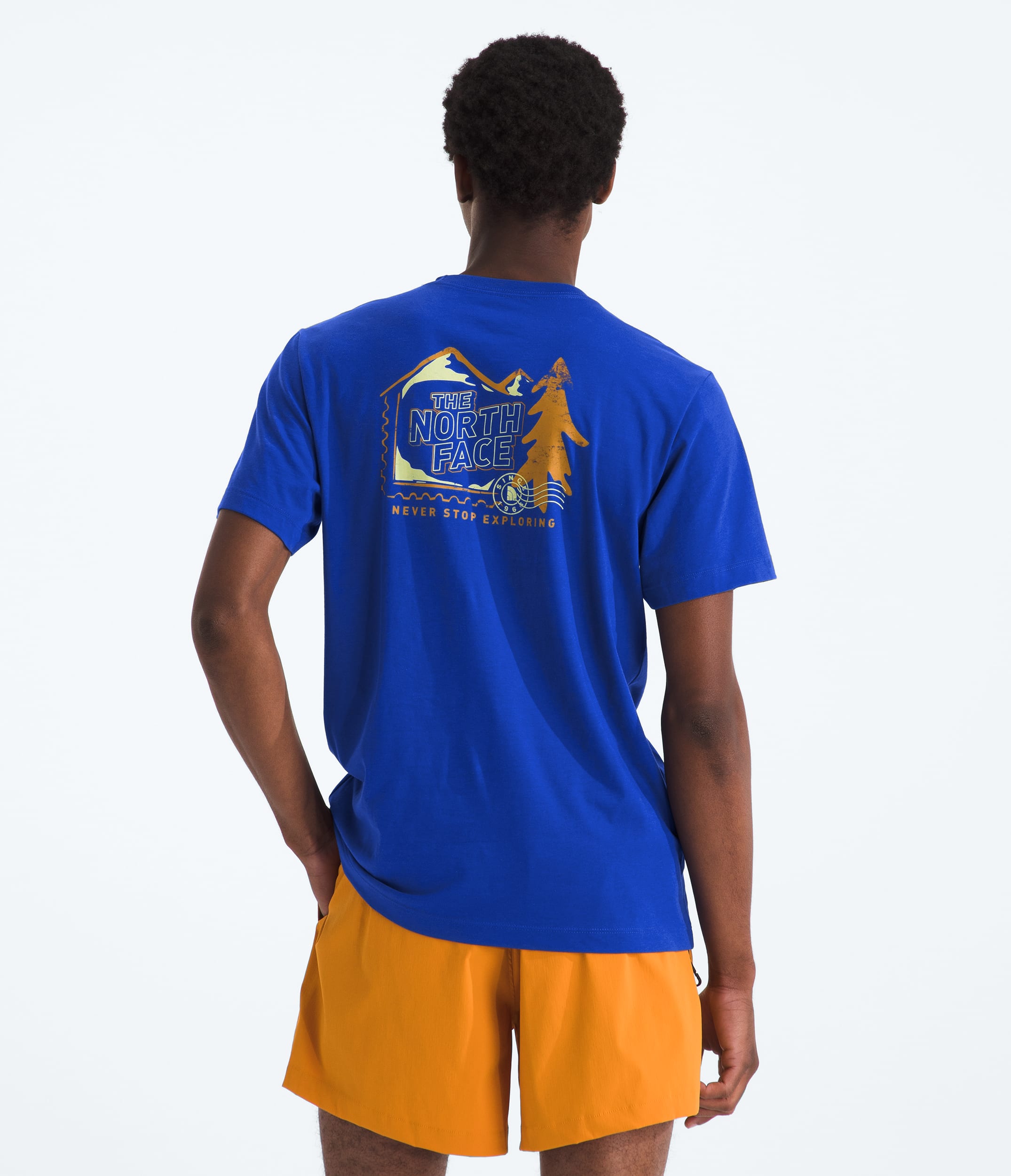 Mens Mountain Stamps Regular ShortSleeve Tee TNF Main