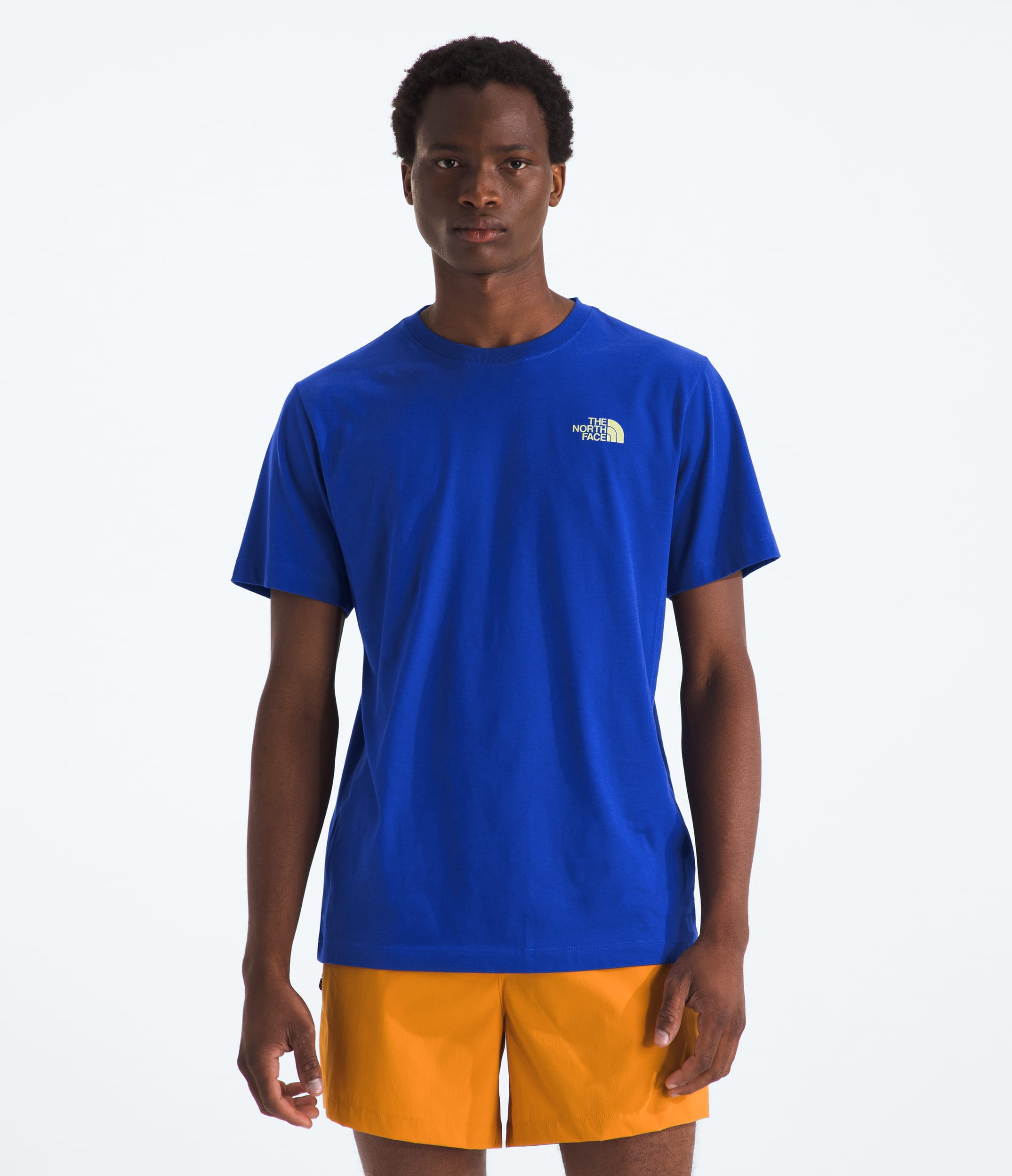 Mens Mountain Stamps Regular ShortSleeve Tee TNF BACK