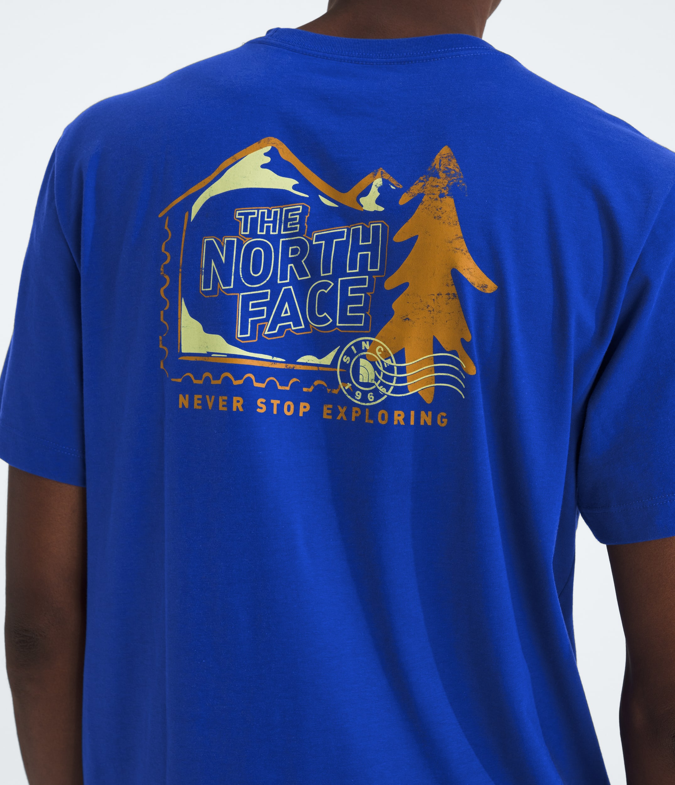 Mens Mountain Stamps Regular ShortSleeve Tee TNF HERO2