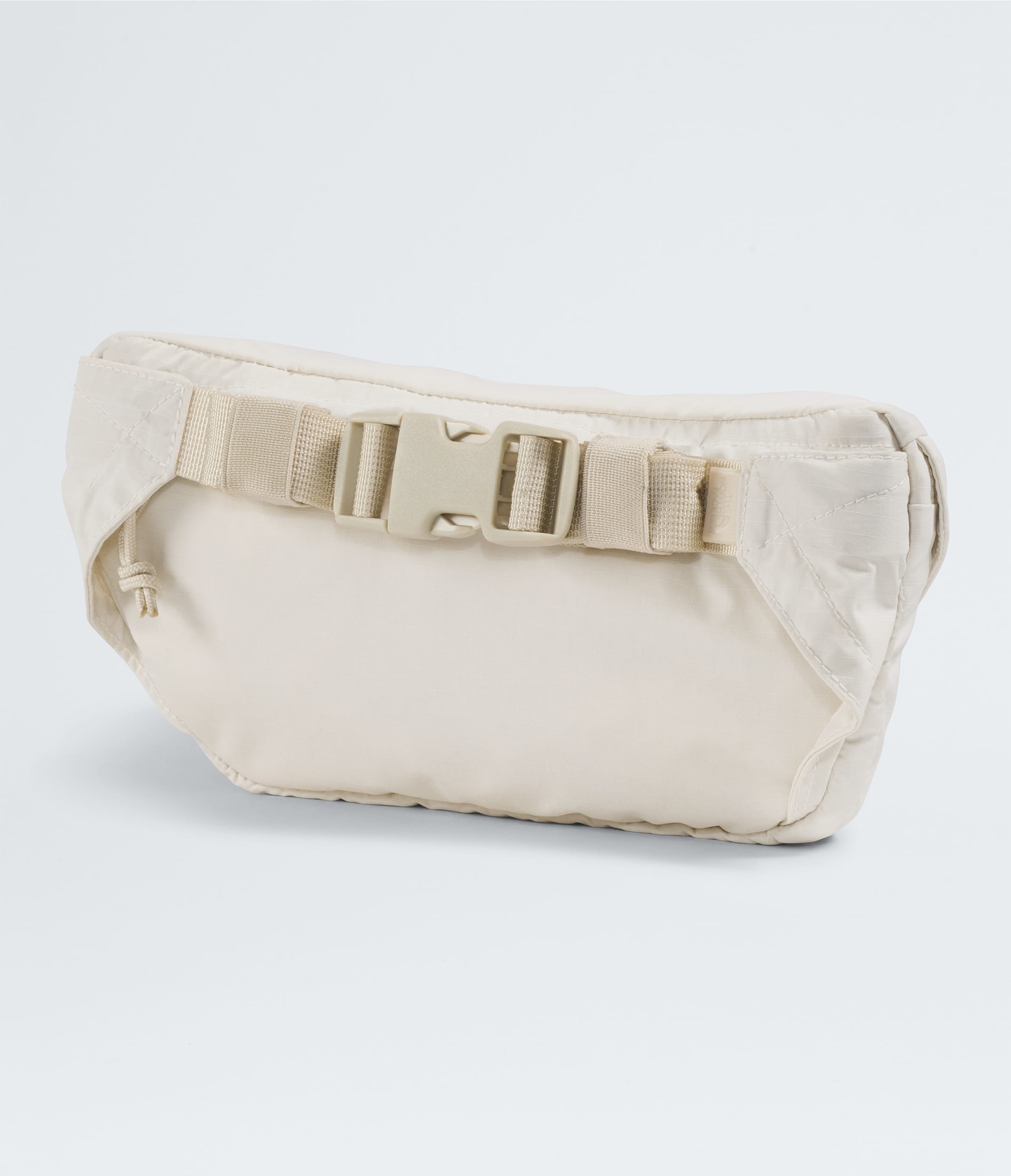 Glen Canyon Lumbar Pack TNF BACK