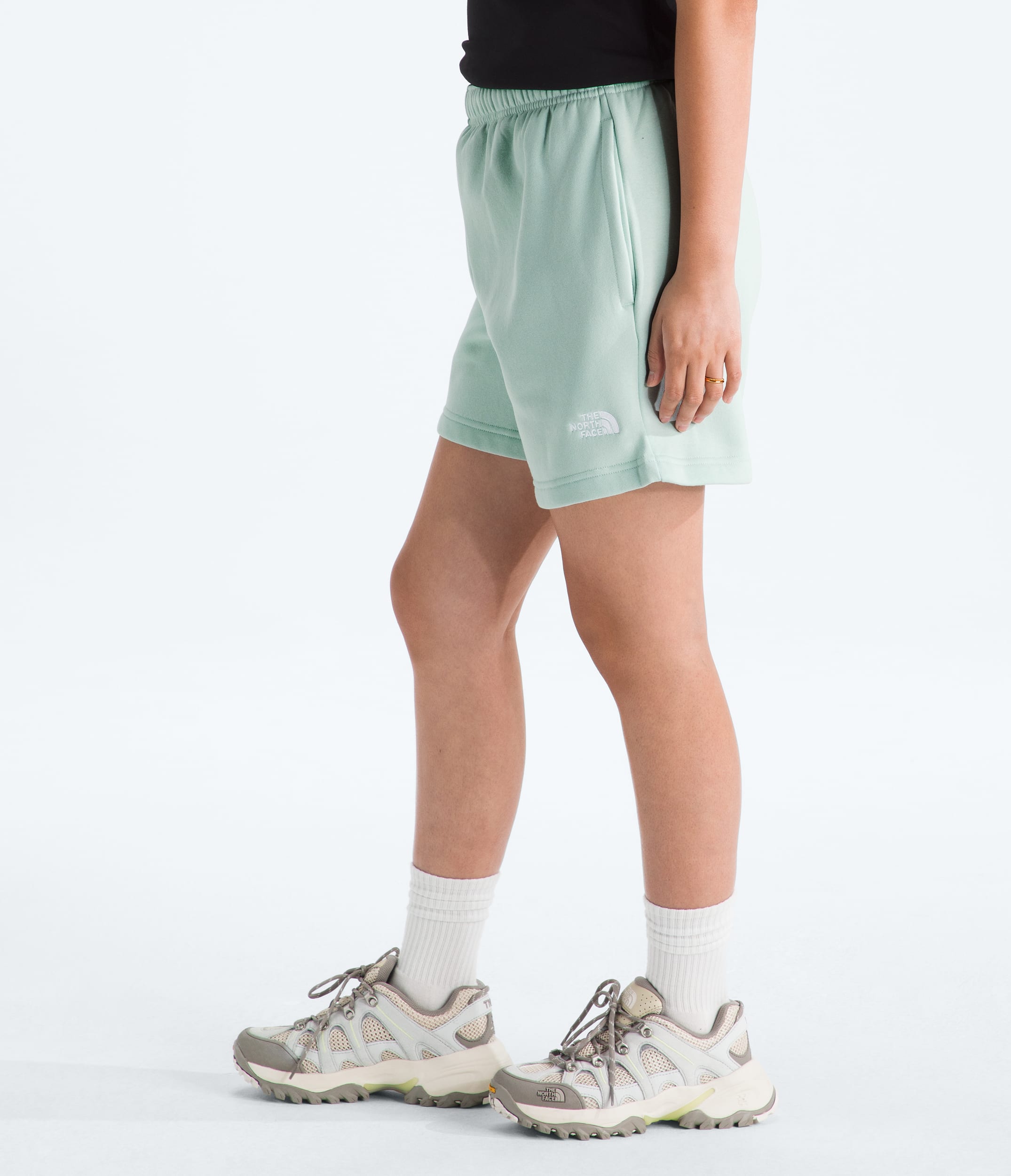 Womens Evolution Simple Dome Regular Shorts TNF MODEL34