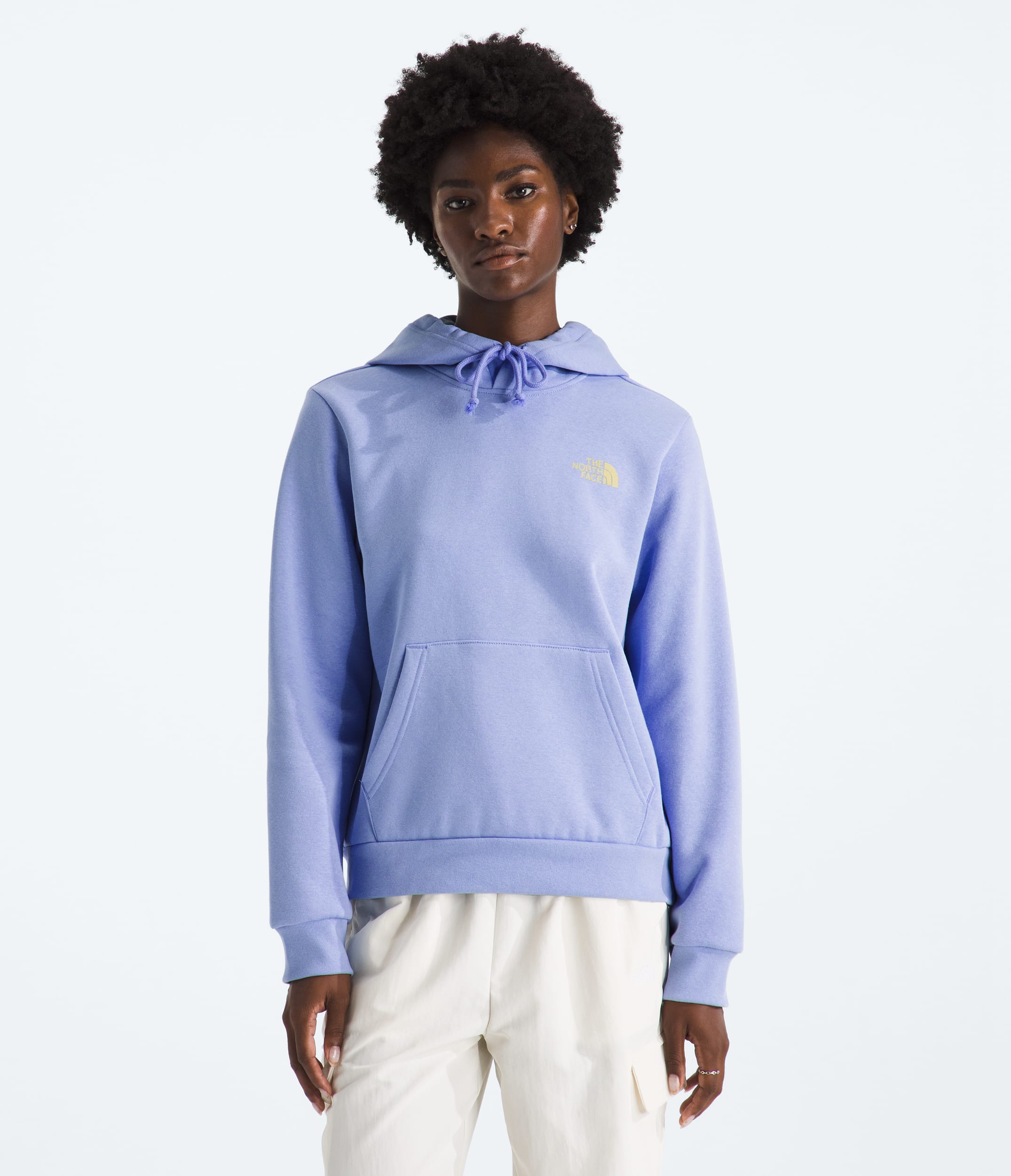 Womens Explore Pin Regular Hoodie TNF BACK