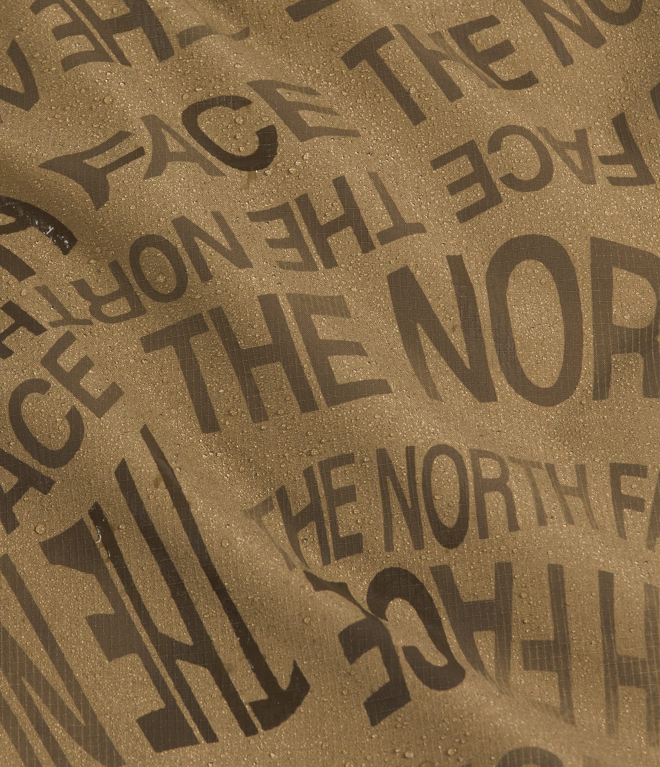 Boys  Girls Class V Shorts5 TNF ALT1