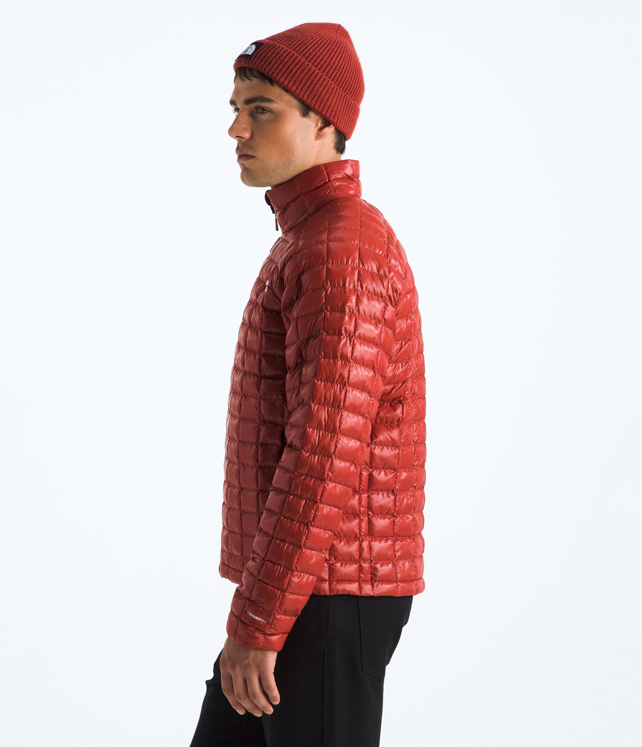 Manteau THERMOBALL pour hommes TNF MODEL34