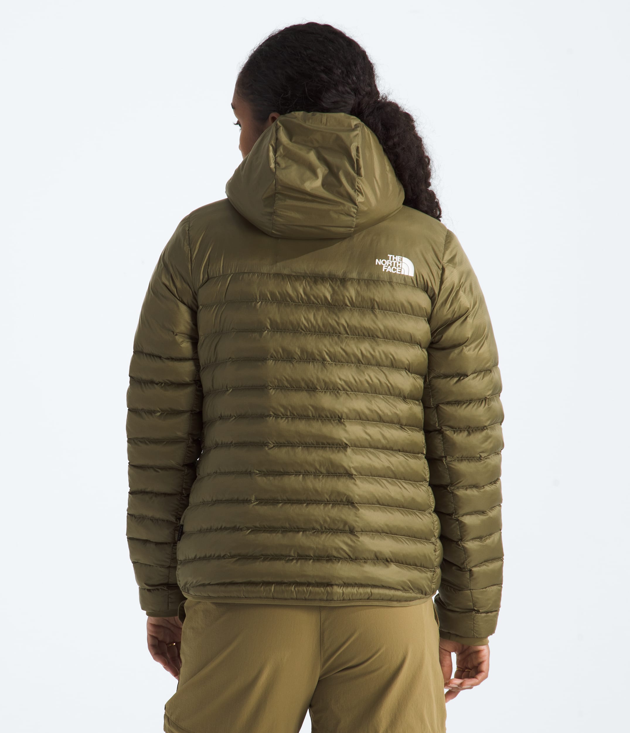 Womens Terra Peak Hoodie TNF BACK