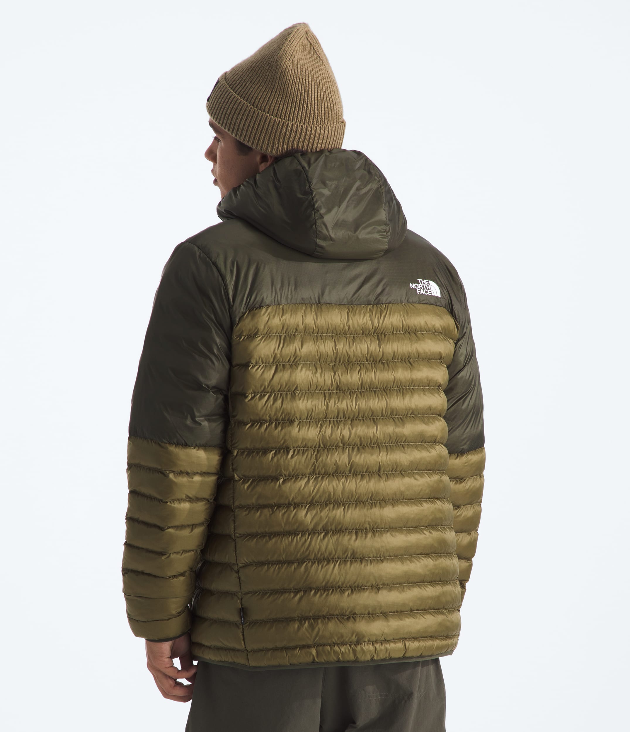 Chandail  capuche Terra Peak pour hommes TNF BACK