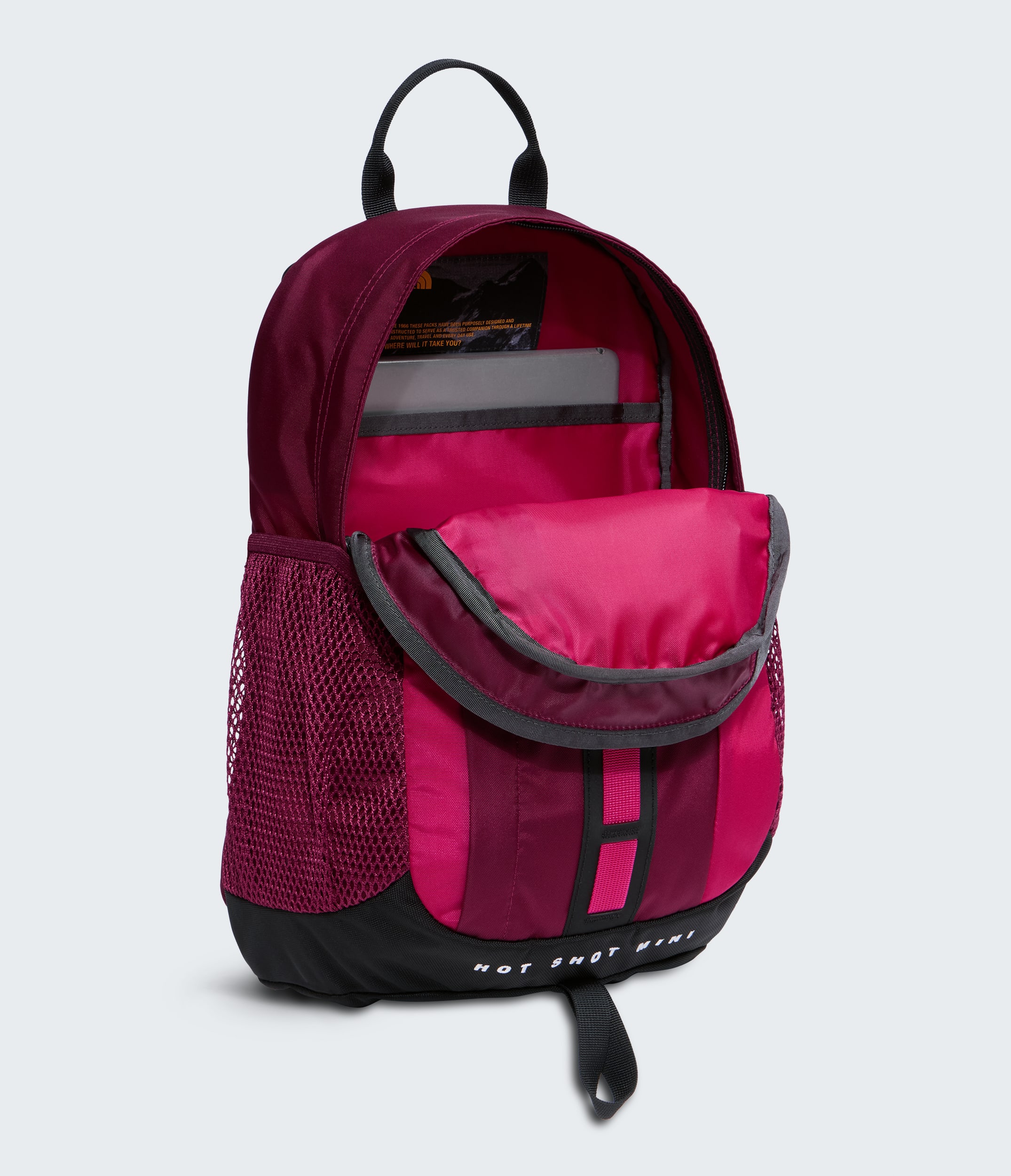 Hot Shot Mini Pack  12L TNF INT