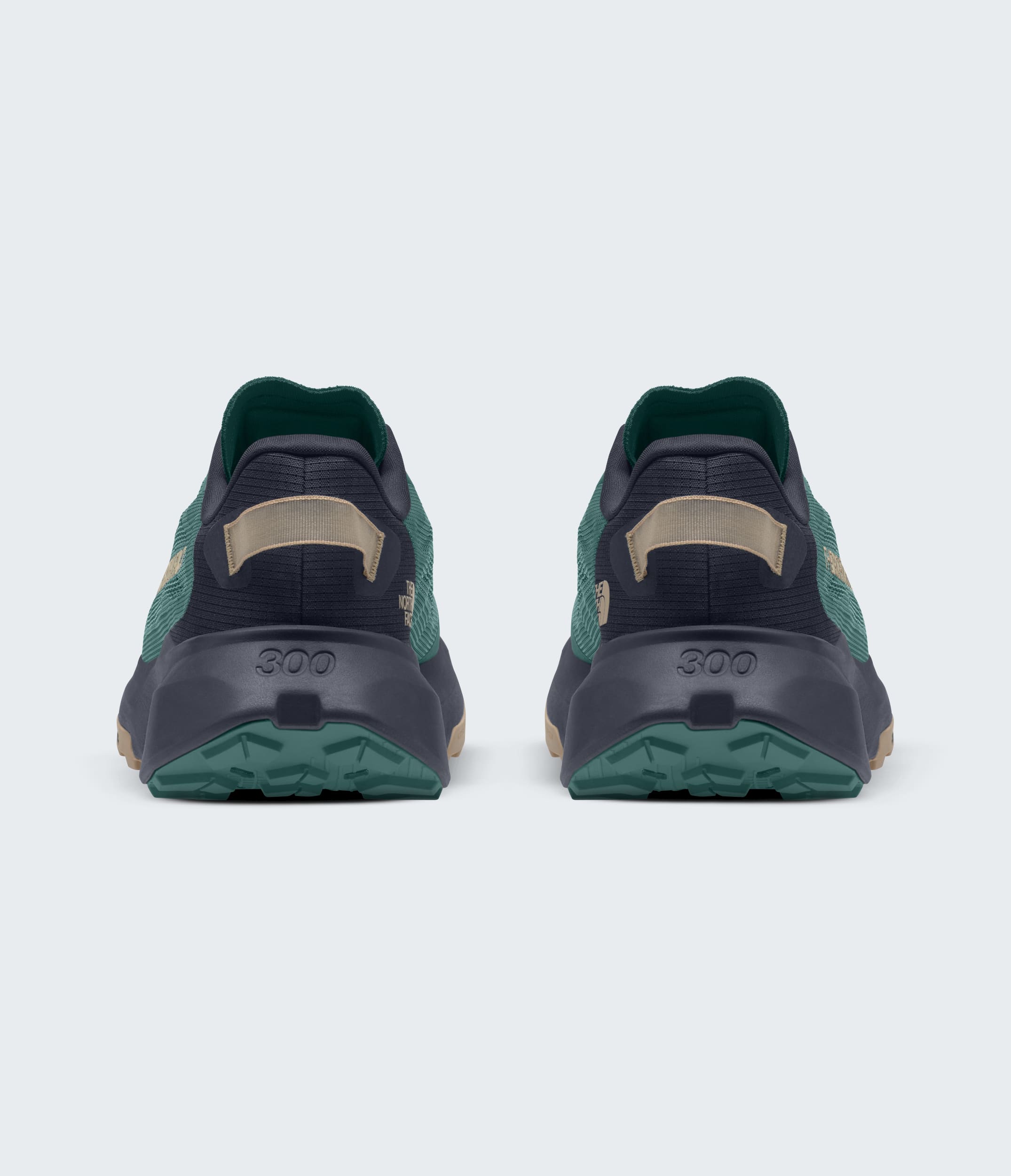 Mens Altamesa 300 V2 Shoes TNF BACK