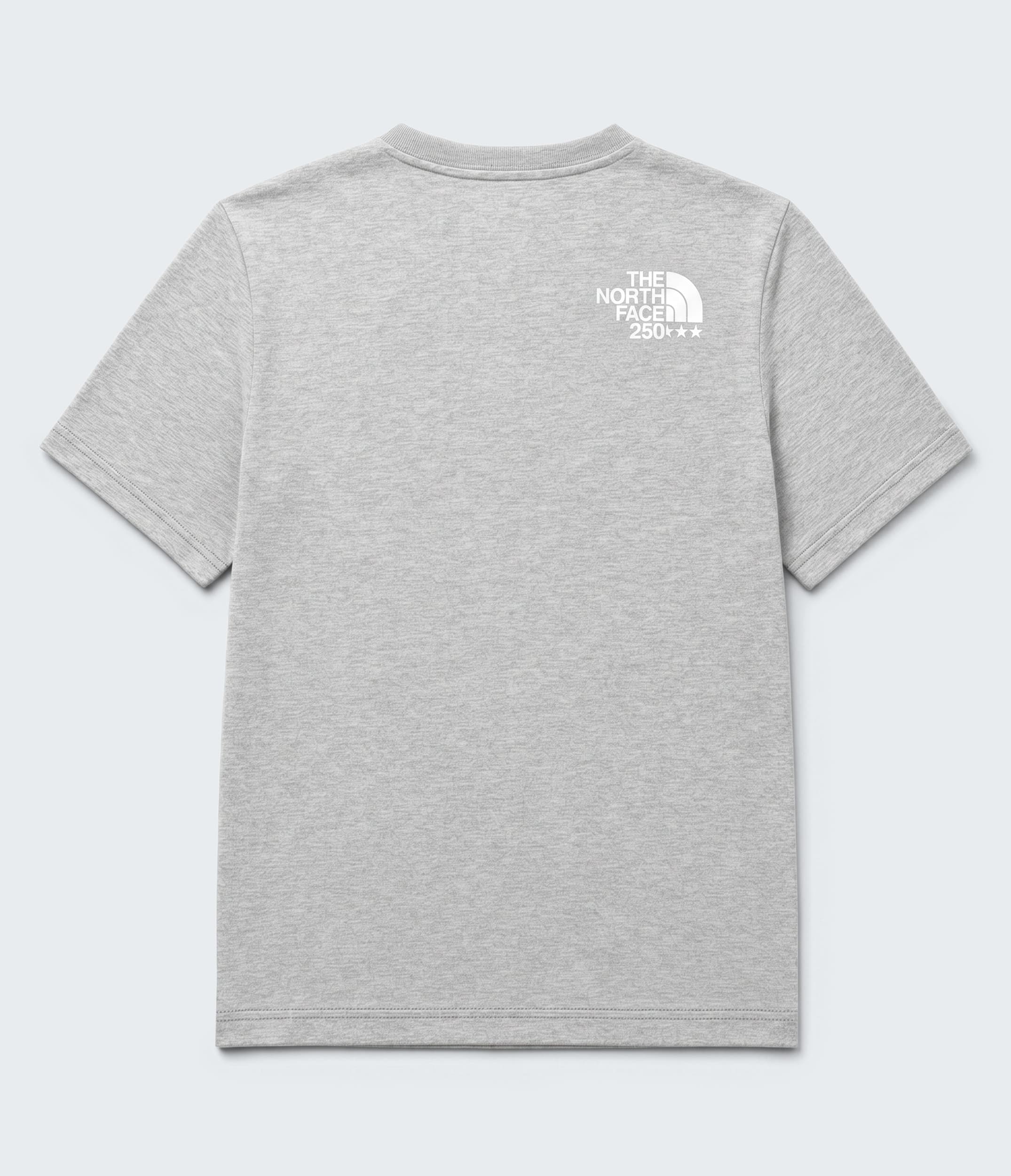 Teen TNFUSA Half Dome Relaxed Tee TNF BACK
