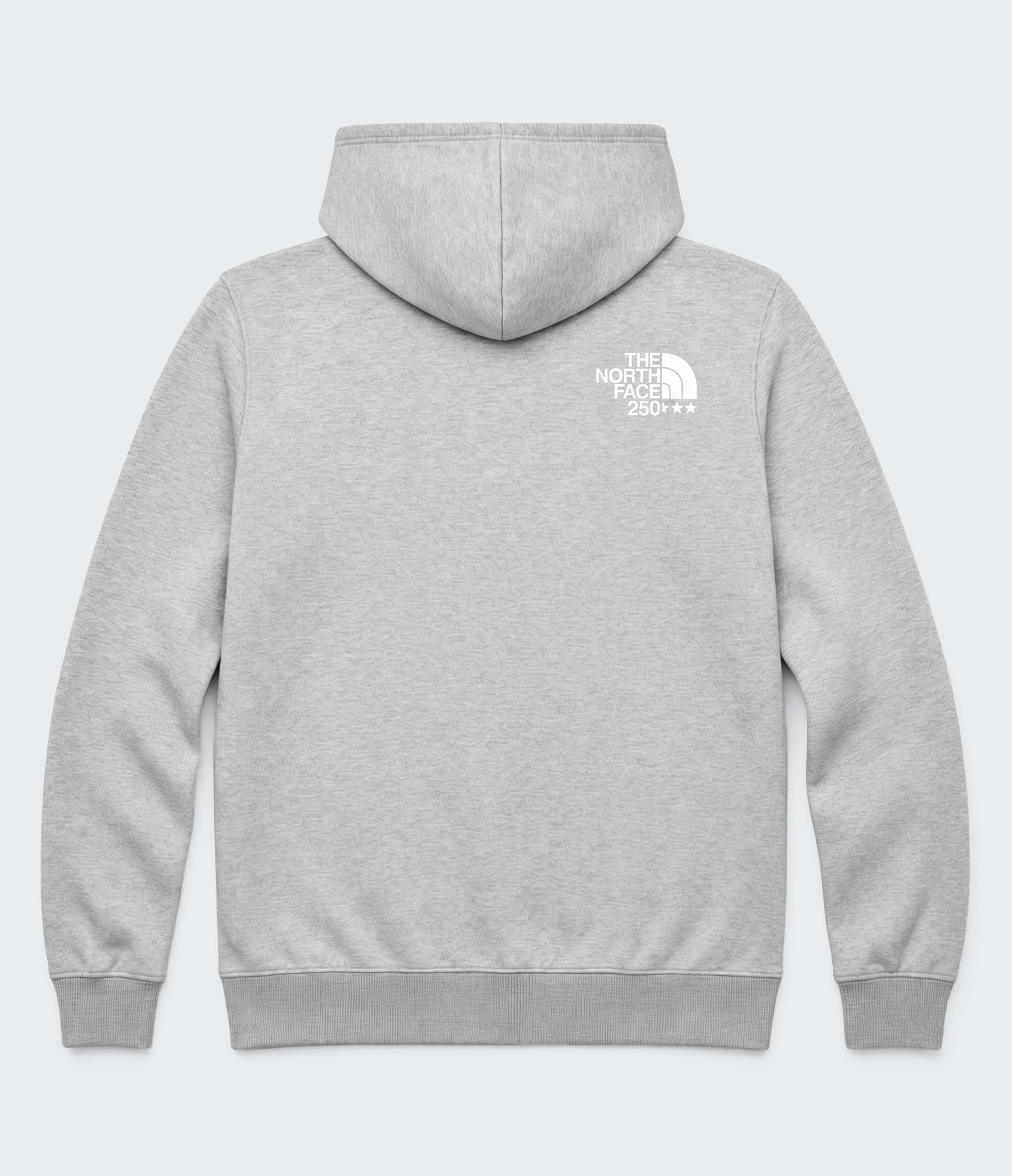 Unisex TNFUSA Relaxed Hoodie TNF BACK