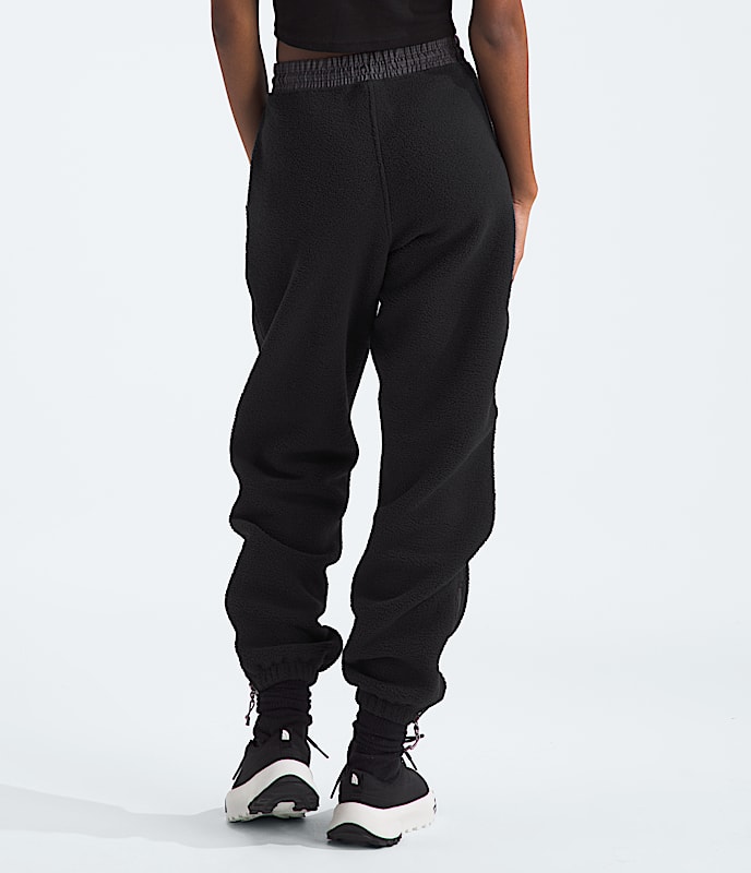 Womens Retro Denali Pants TNF BACK