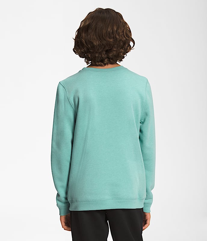 Boys  Girls Heritage Patch Crew TNF BACK