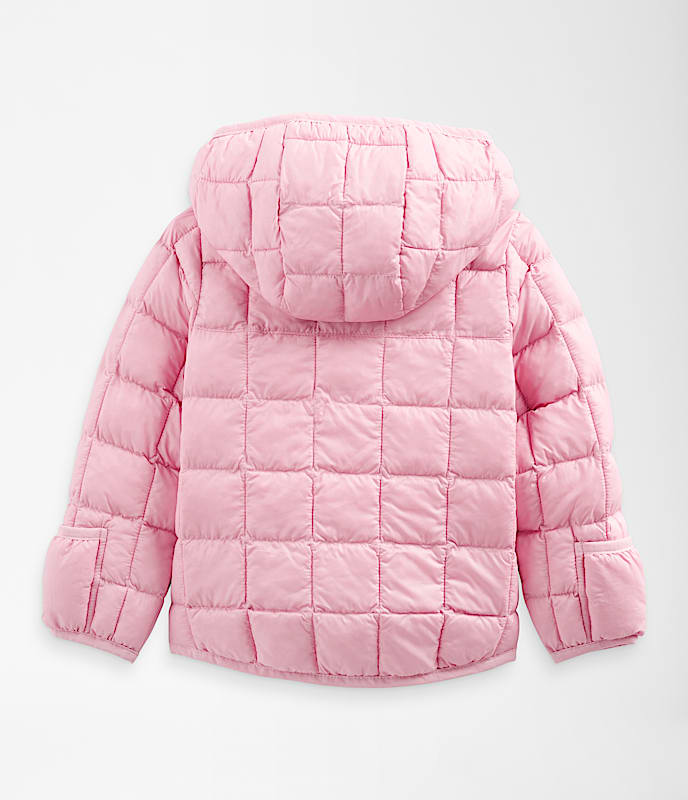 Baby ThermoBall Hooded Jacket TNF BACK