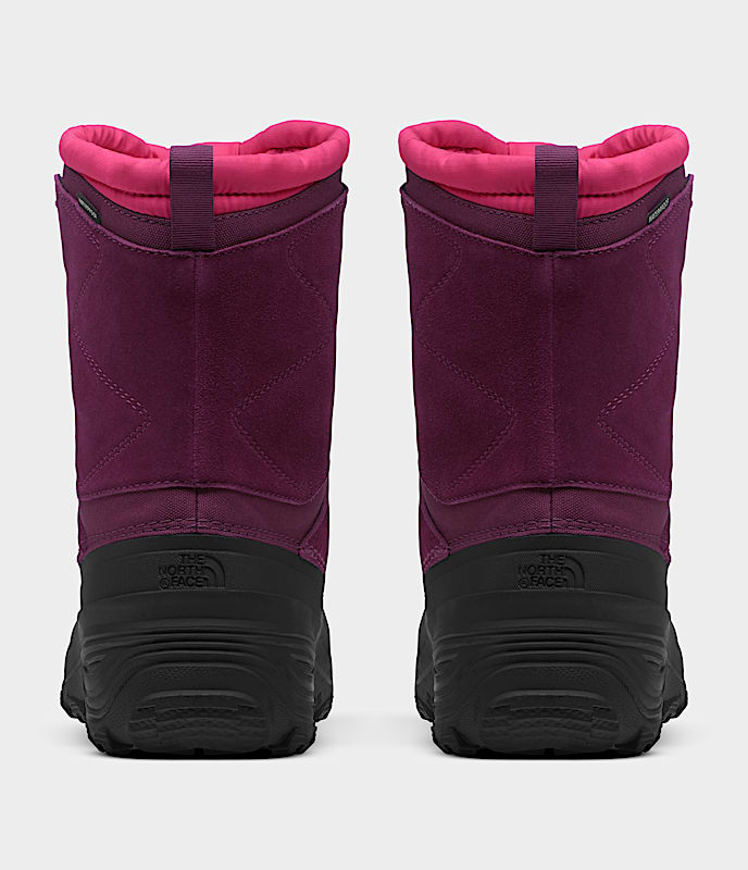 Bottes impermables Alpenglow V pour jeunes TNF BACK