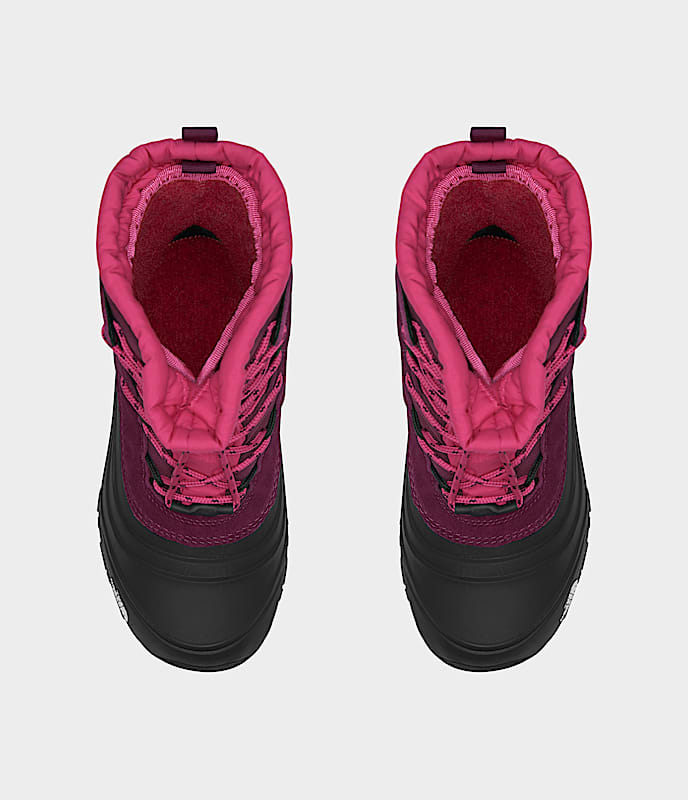 Bottes impermables Alpenglow V pour jeunes TNF DETAILINSTEP