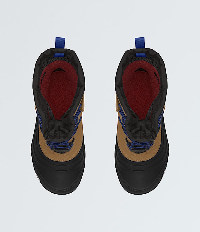 Youth Alpenglow V Waterproof Boots - 2