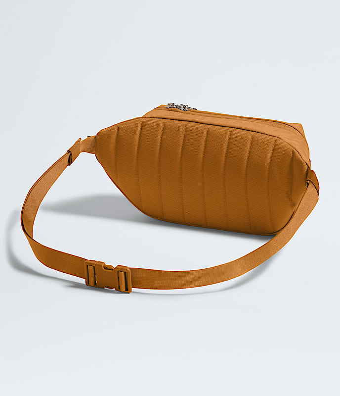 Berkeley Lumbar TNF BACK