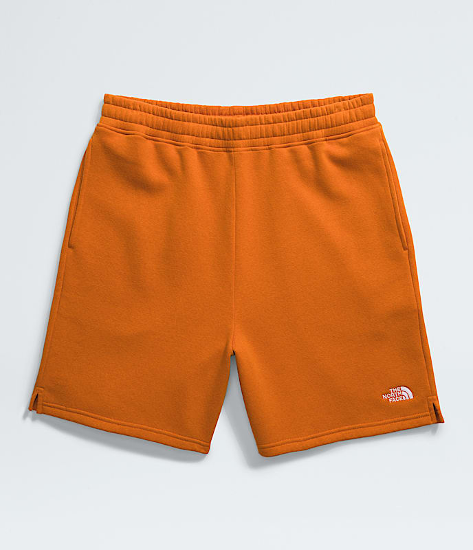 Short Evolution pour hommes TNF ALTFRONT