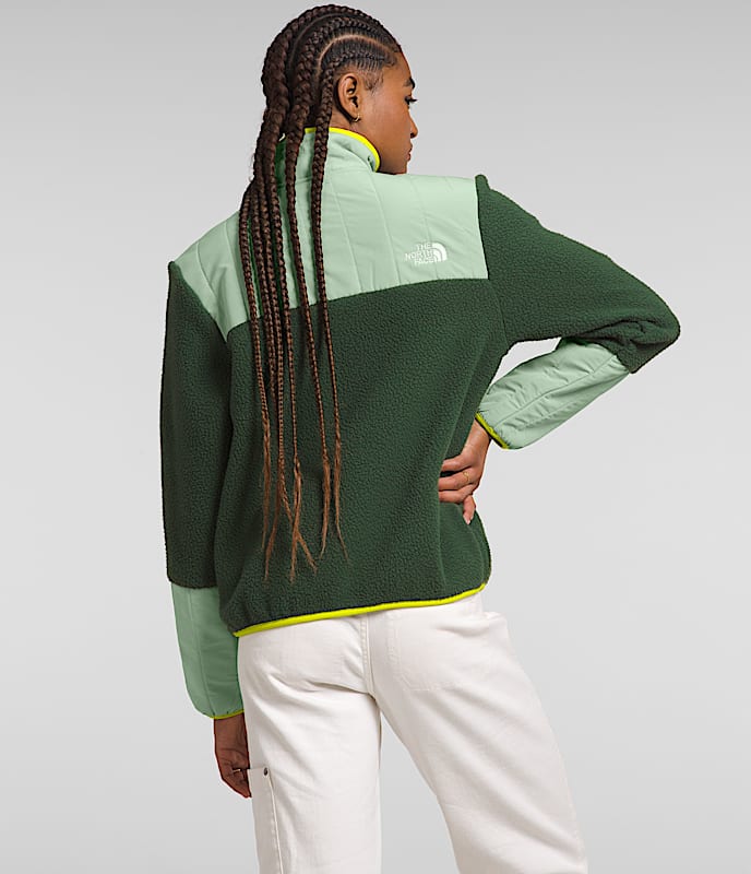 Womens Cragmont Fleece Snap TNF BACK