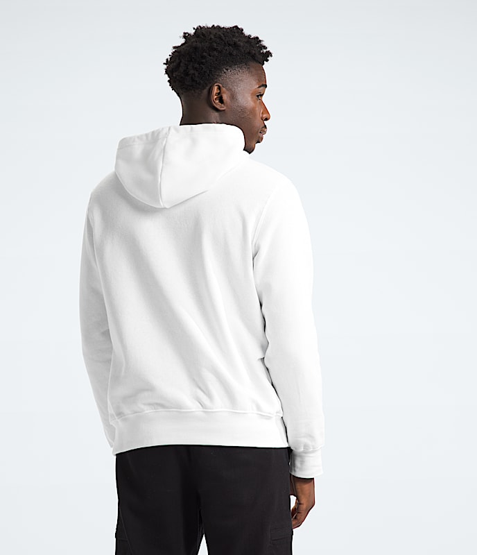 Mens Half Dome Pullover Hoodie TNF BACK
