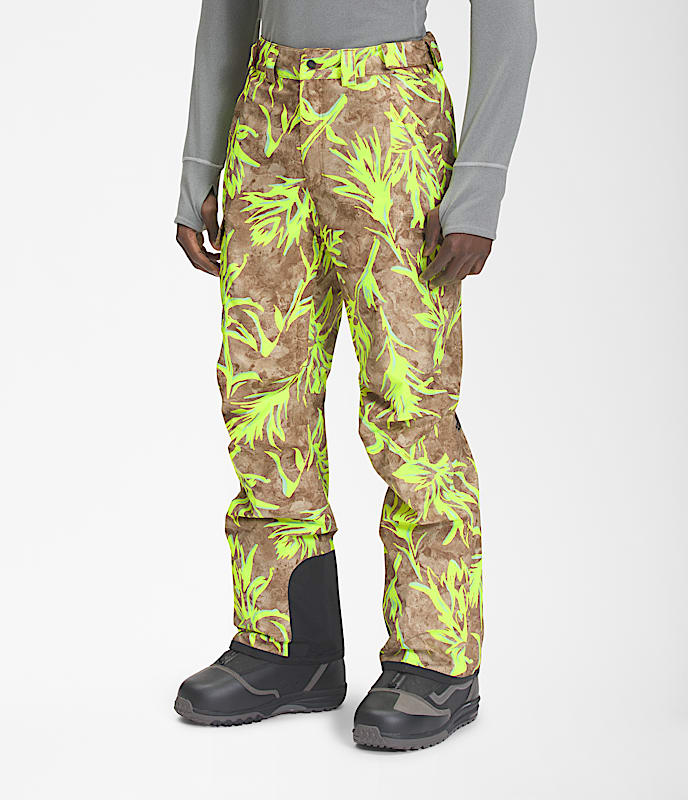 Mens Freedom Pants TNF MODEL34