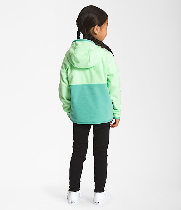 Kids Glacier FullZip Hoodie TNF BACK