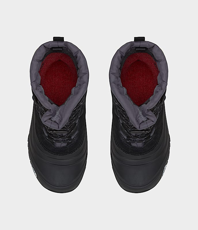 Youth Alpenglow V Waterproof Boots