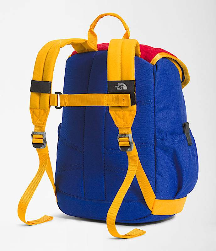 Youth Mini Explorer Backpack  10L TNF TNF RedDeep Grass GreenTNF BlueSummit Gold BACK