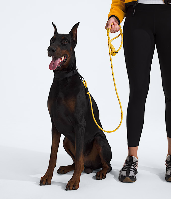 TNF™ Pet Leash