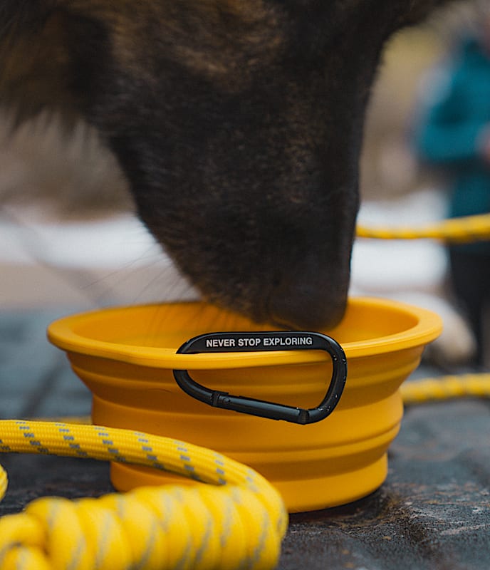 TNF™ Collapsible Pet Bowl - 6