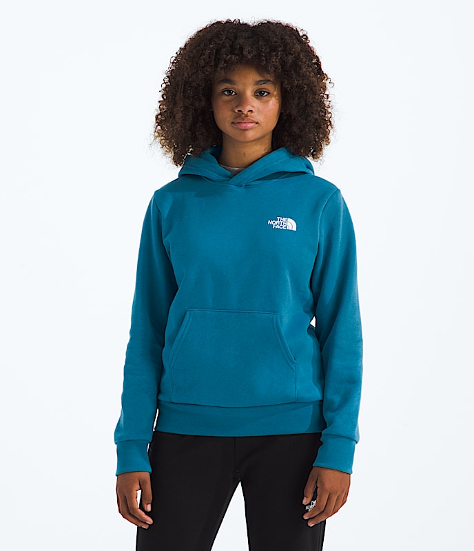 Boys  Girls Evolution Box NSE Pullover Hoodie TNF HERO3
