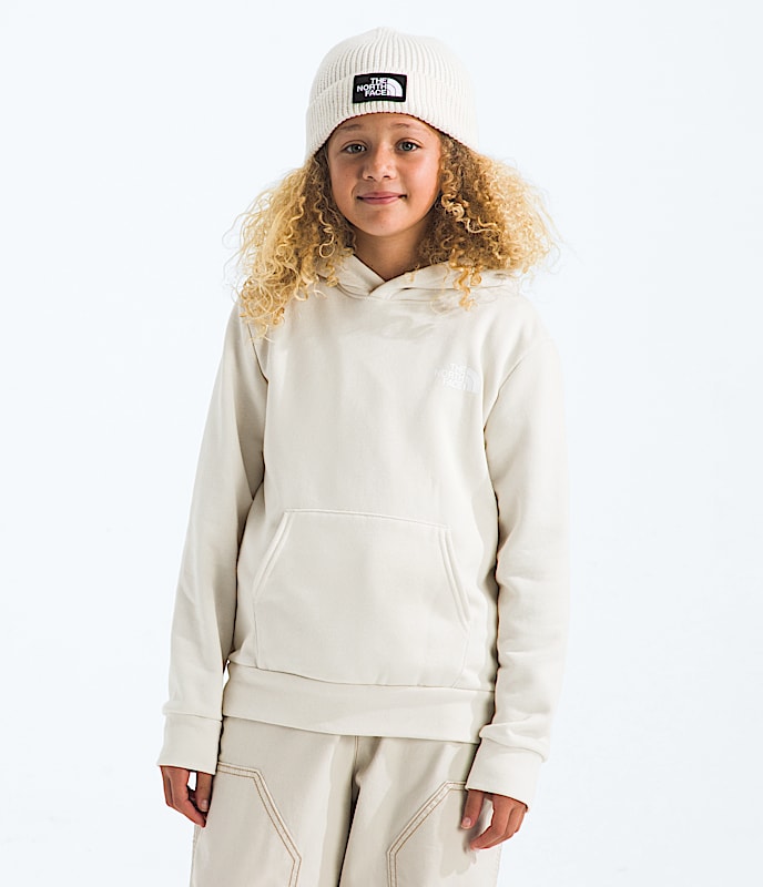 Boys  Girls Evolution Box NSE Pullover HoodieGraphic TNF BACK