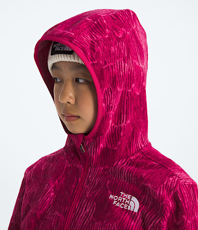 Boys  Girls Glacier FullZip HoodiePrint TNF MODELHOOD2