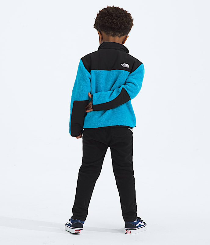 Kids Denali Jacket TNF BACK