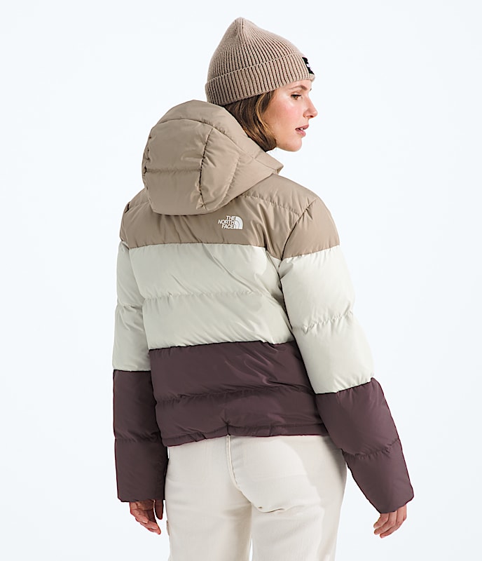 Womens Frost Fall Hooded Jacket TNF BACK