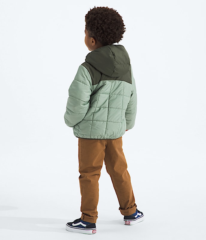 Kids Boys Reversible Shasta FullZip Hooded Jacket TNF BACK