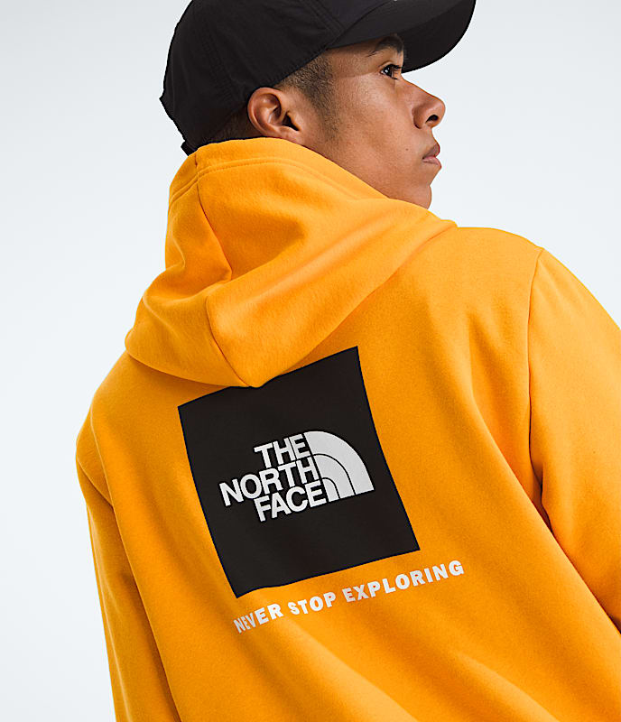 Men’s Evolution Box NSE Regular Hoodie - 2