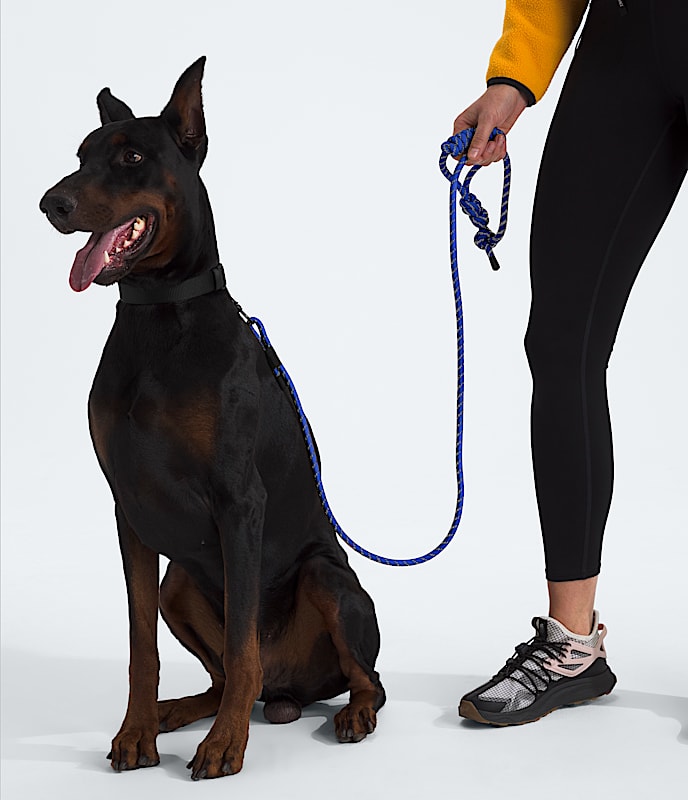 TNF™ Pet Leash