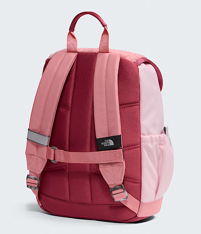 Youth Mini Explorer Backpack TNF BACK