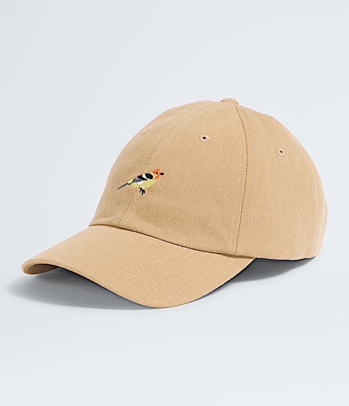 Norm Hat - 1