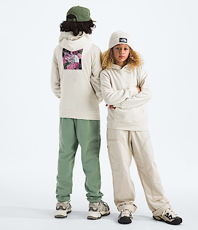 Boys  Girls Evolution Print Box NSE Pullover Hoodie TNF White Dune Main
