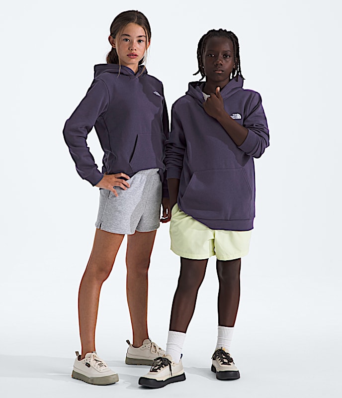 Boys  Girls Evolution Simple Dome Pullover Hoodie TNF Endless Dusk Main