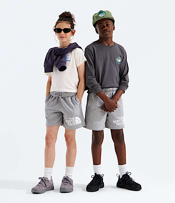 Boys  Girls Evolution Half Dome Shorts TNF TNF Pale Grey Heather Main