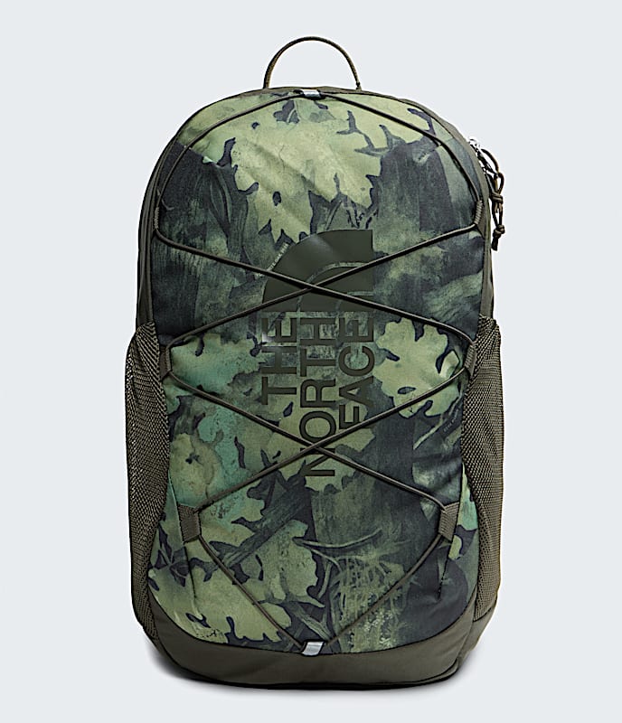 Youth Court Jester Backpack TNF New Taupe Green Yosemite Oak PrintNew Taupe Green HERO